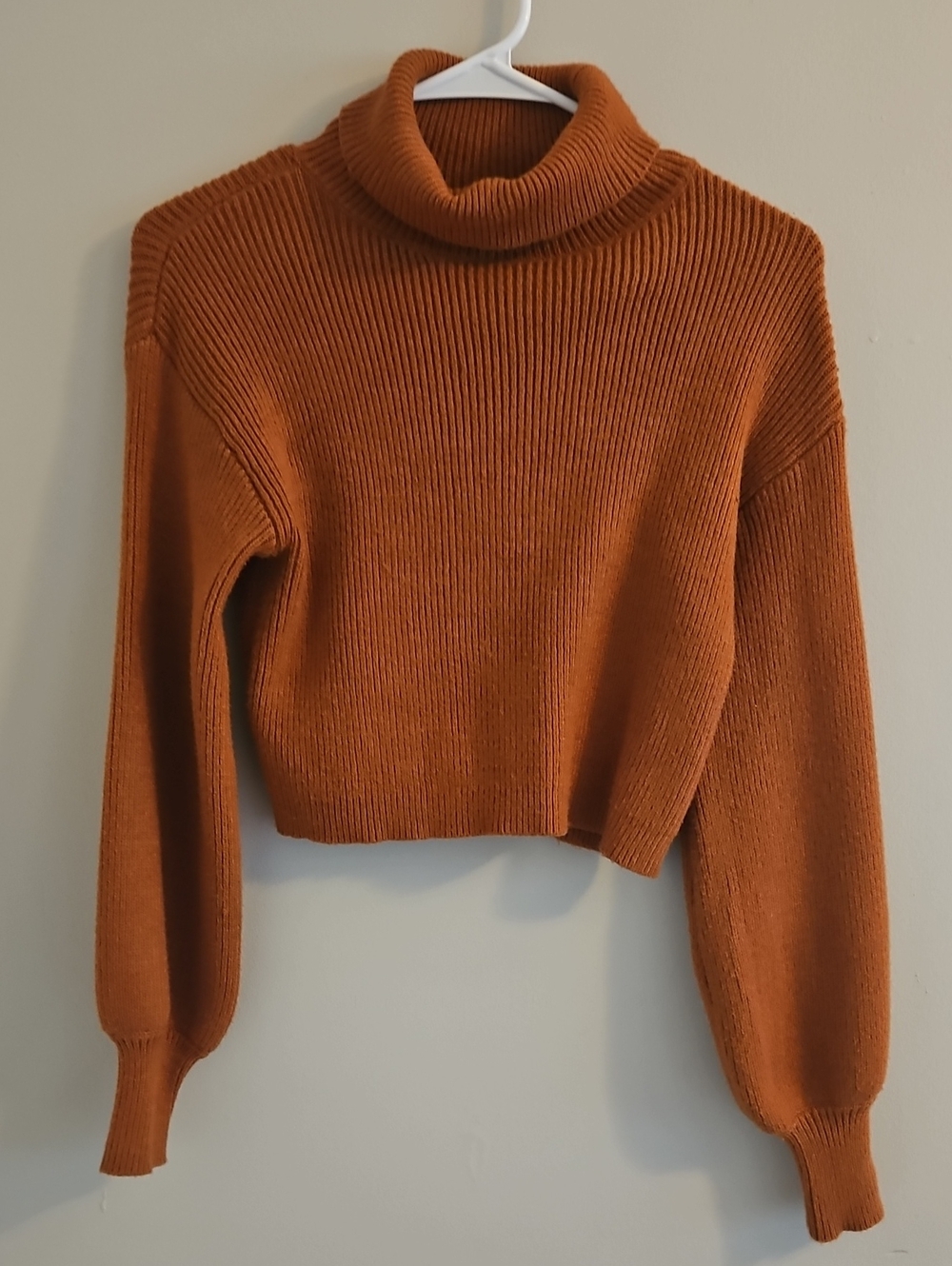 Blue Rain Cropped Burnt Orange Turtleneck Sweater